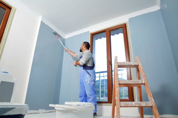 Best Black Mold Removal  in Berwick, LA