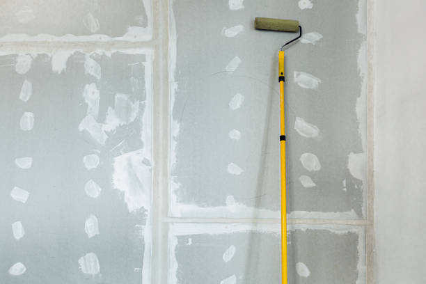 Berwick, LA Mold Removal Company