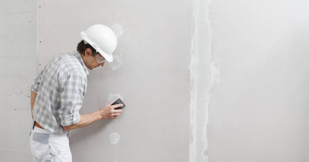 Best Mold Documentation for Insurance Claims  in Berwick, LA