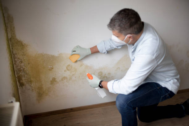 Best Biohazard Mold Removal  in Berwick, LA