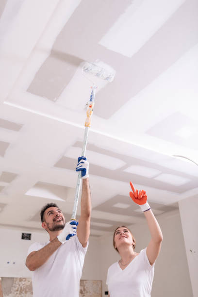 Best Attic Mold Removal  in Berwick, LA