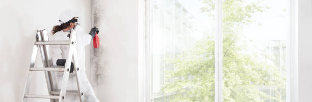 Best Mold-Related Health Consultation  in Berwick, LA